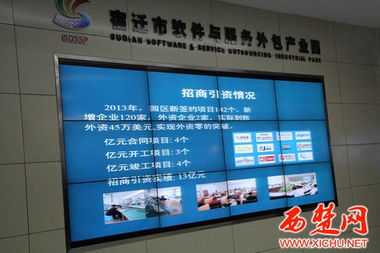 軟件外包服務 連接市軟件與服務外包產業園與知創產業園的創新紐帶